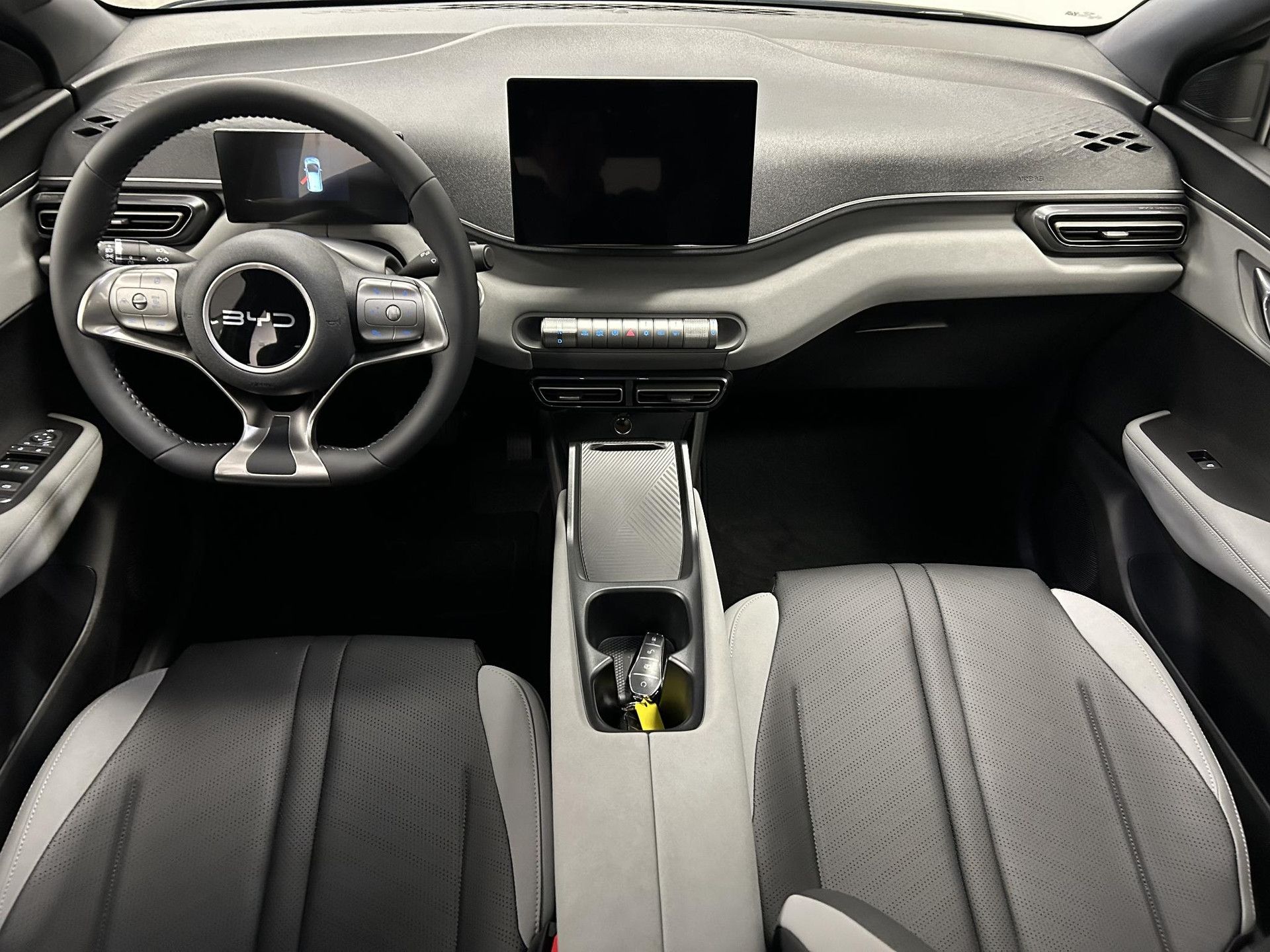 BYD DOLPHINSURF