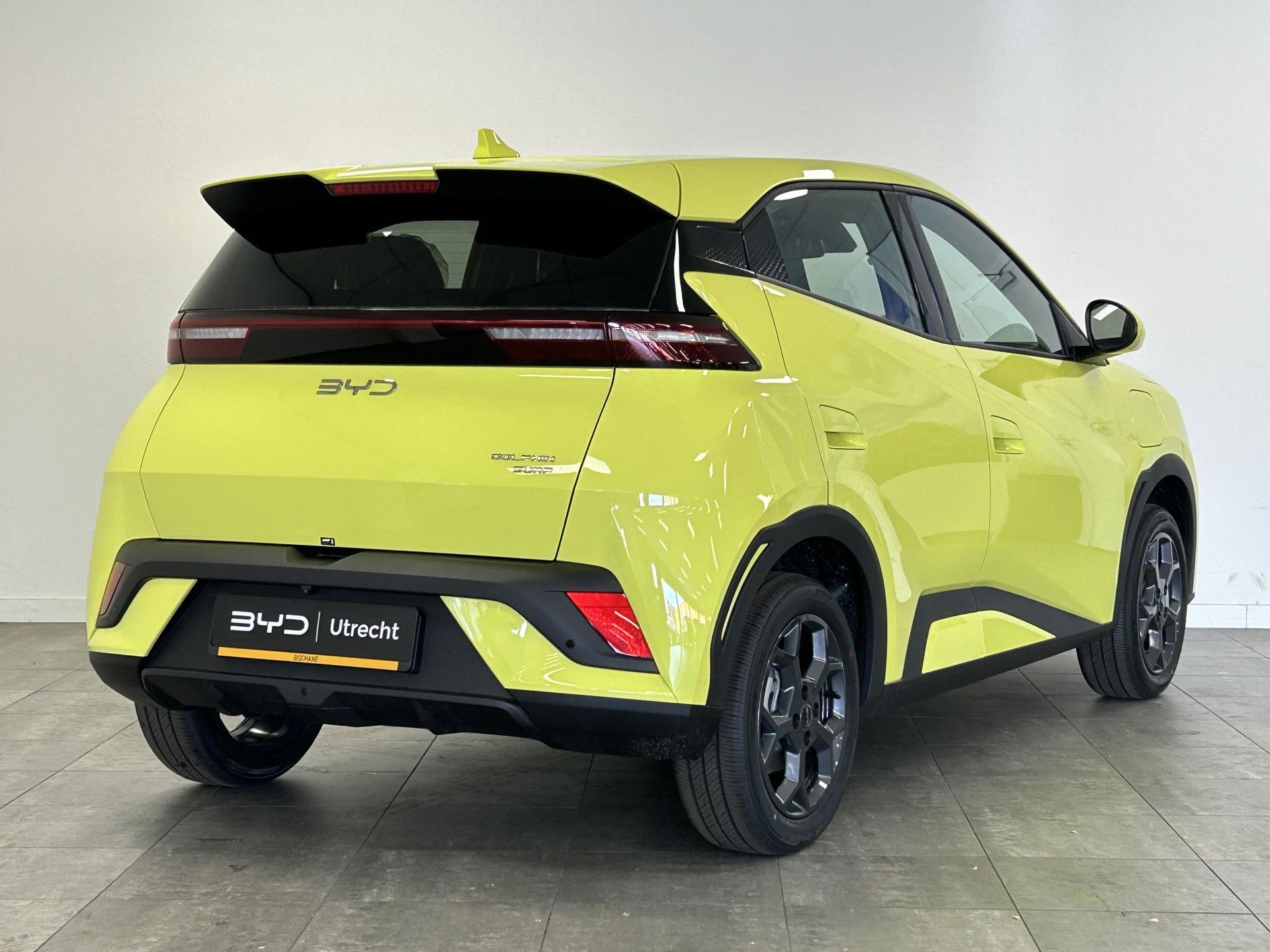 BYD DOLPHINSURF