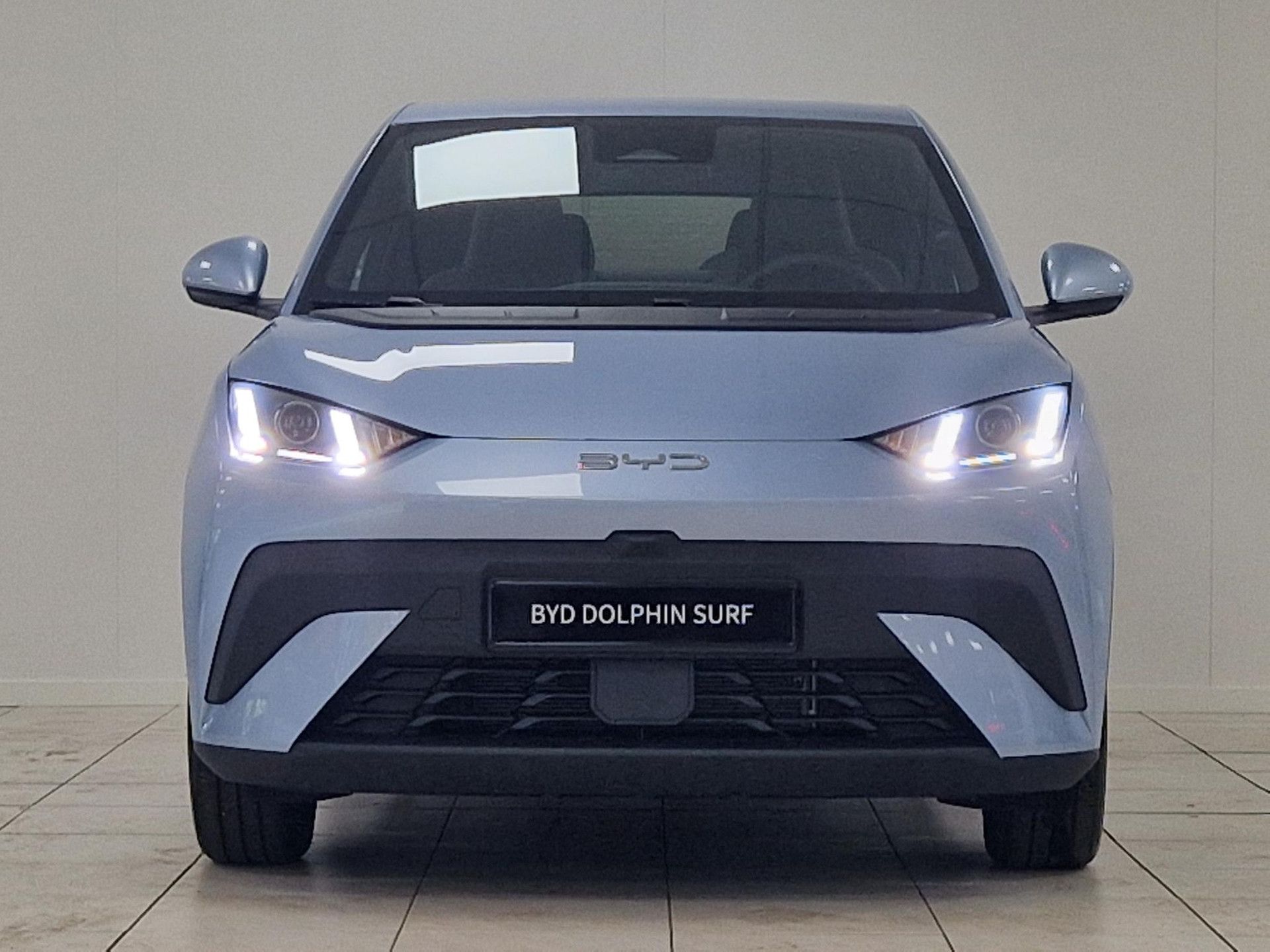 BYD DOLPHINSURF